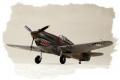 HOBBY BOSS 80209 1/72  WW II美國.陸軍 寇蒂斯公司 P-40B/C 霍克 81'戰鷹'戰鬥機/國民黨空軍式樣