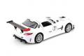 FUJIMI 125695-RS-29 1/24 賓士汽車 SLS AMG GT3轎跑車