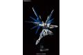 BANDAI 5061611 MG 1/100 ZGMF-X10A 自由鋼彈 Freedom Gundam Ver.2.0版