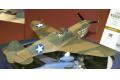 HASEGAWA 08879-ST-29 1/32 WW II美國.陸軍 P-40E'戰鷹'戰鬥機