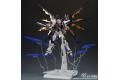 DABAN MODEL 8802 1/100 ZGMF-X20A 攻擊自由鋼彈 STRIKE FREEDOM GUNDAM