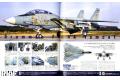 大日本繪畫.SA 17-05 SCALE AVIATION雜誌/2017年05月雙月刊N0.115期