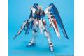 BANDAI 138527 1/100 ZGMF-X10A 自由鋼彈/電鍍版 FREEDOM GUNDAM/METALLIC COATING VER.