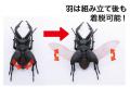 FUJIMI 170732 自由研究系列--#022 鍬形蟲 STAG BEETLE