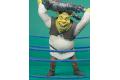 McFarlane Toys 202021 史瑞克系列--摔角 WRESTLIN' SHREK