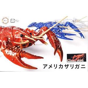 FUJIMI 171050 自由研究.生物篇--#24.EX-4 小龍蝦(透明紅色)/免膠水黏合 CRAYFISH(CLEAR RED)