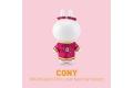 D4 TOYS 513862 LINE朋友們--春節.兔兔 CONY