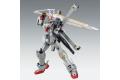 魂商店限定--BANDAI 5058026 1/100 X0骷髏鋼彈原型機  CROSSBONE GUNDAM X0