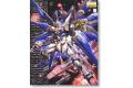 BANDAI 5061606 1/100 ZGMF-X20A 攻擊自由鋼彈 STRIKE FREEDOM GUNDAM